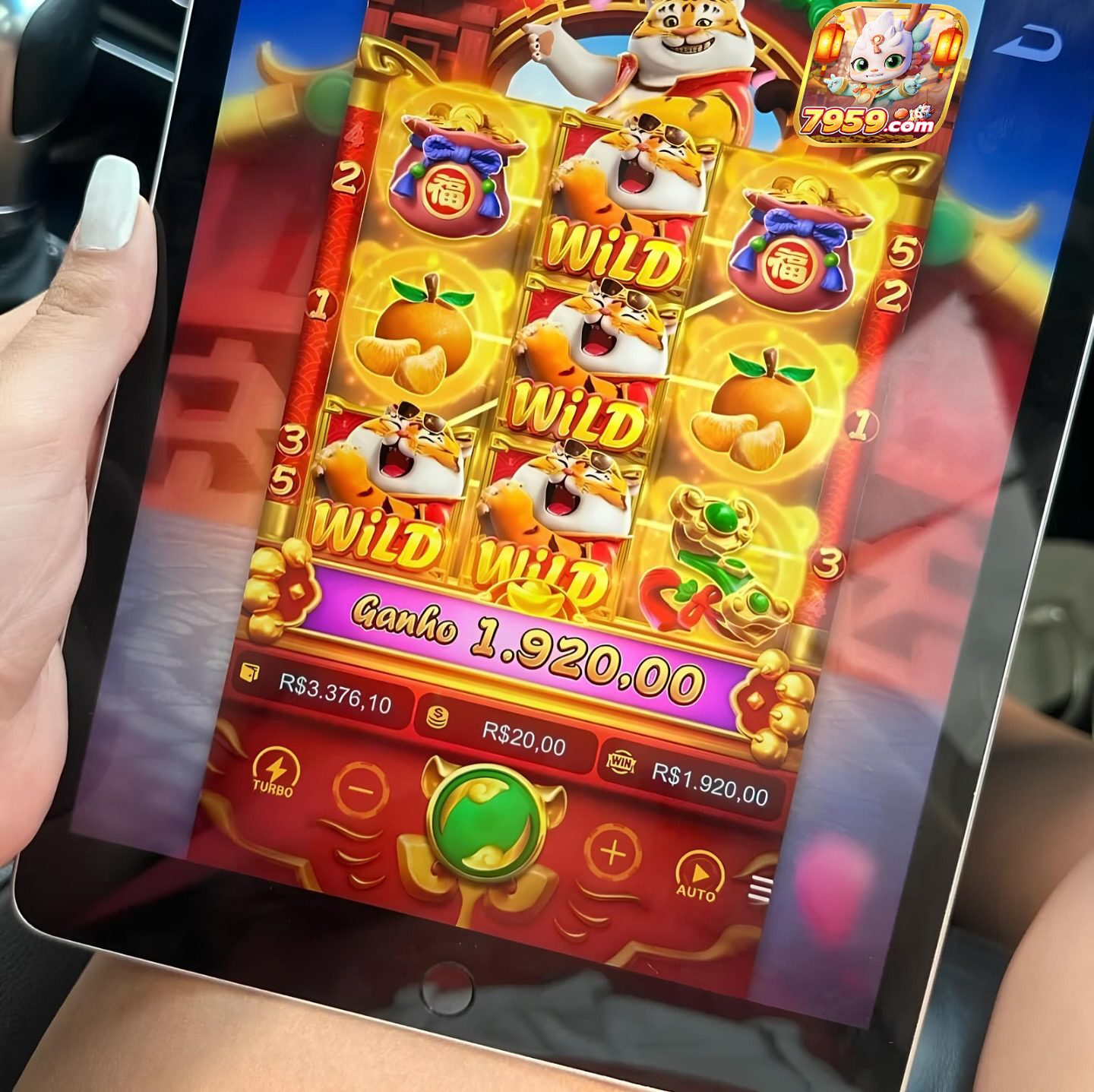 bet365 brl 