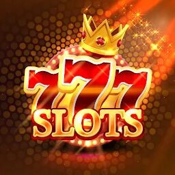 bia miranda e gato preto 