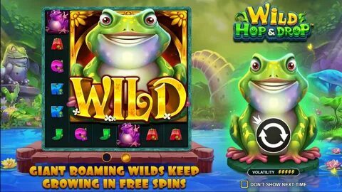big bass bonanza demo 