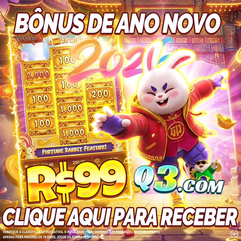 bingo ao vivo cassino 