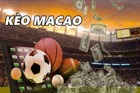 como ganhar no jogo do bicho online 