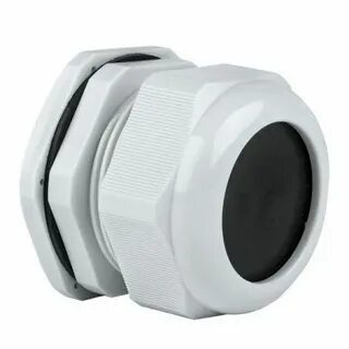 qual maior osso do corpo humano 