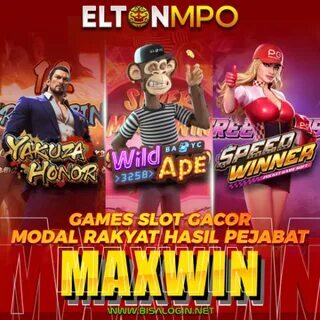tinbet cassino online 